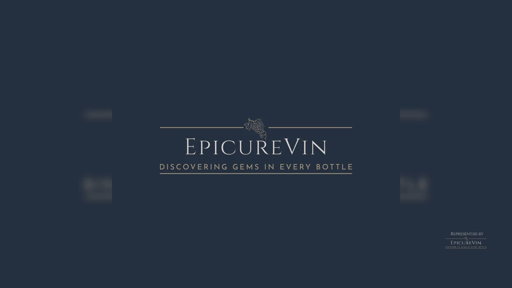 VI-VE (Carbonic Maceration) Red Wine 2023