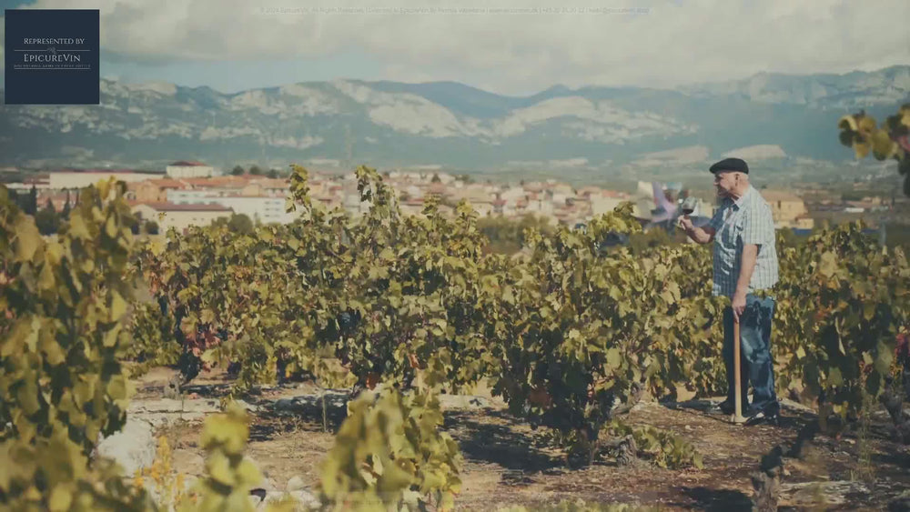 Familia Valdelana Reserva Red Wine 2019