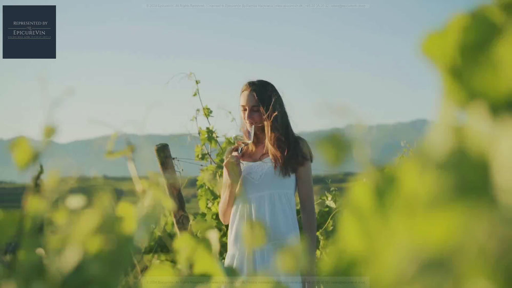 Familia Valdelana Young White Wine 2023