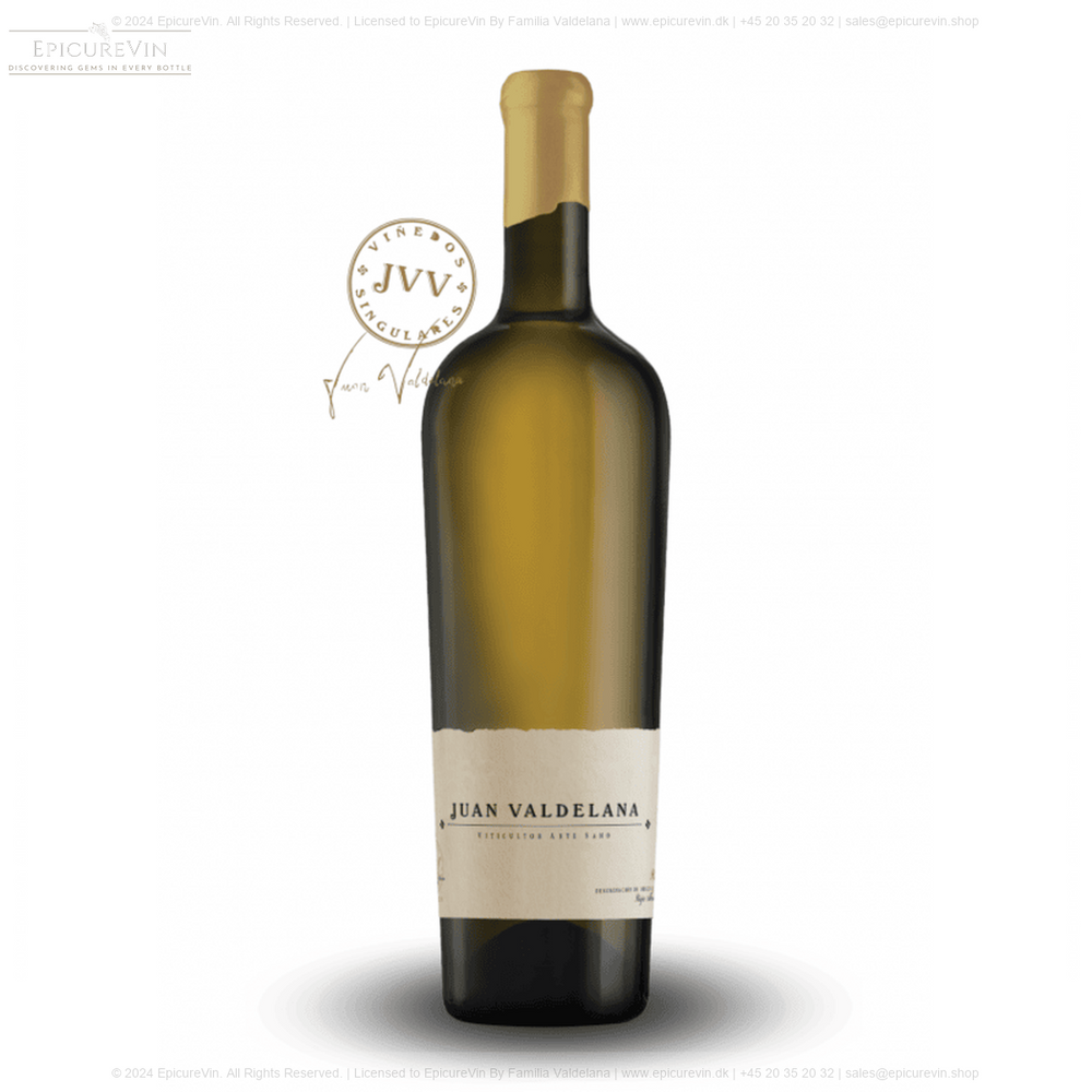Vinedo Singular JVV (Juan Valdelana) White Wine 2021