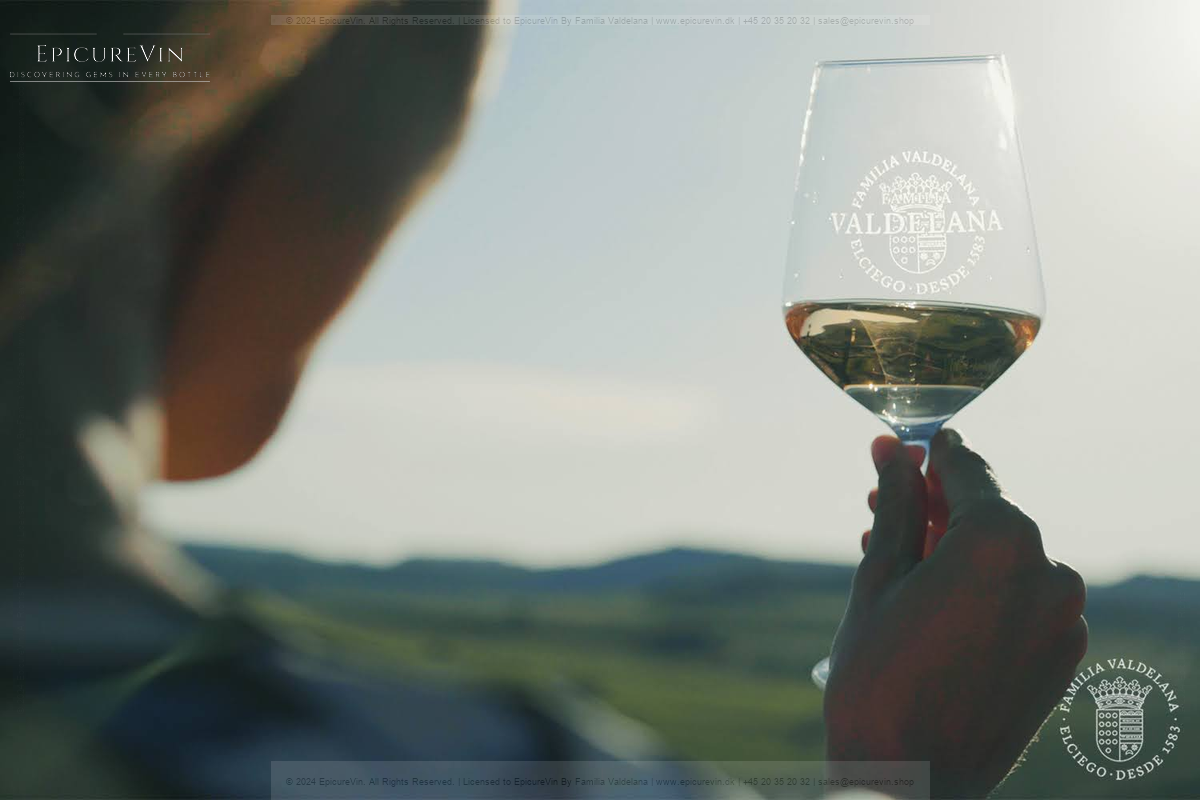 Familia Valdelana Young Rosé Wine 2023