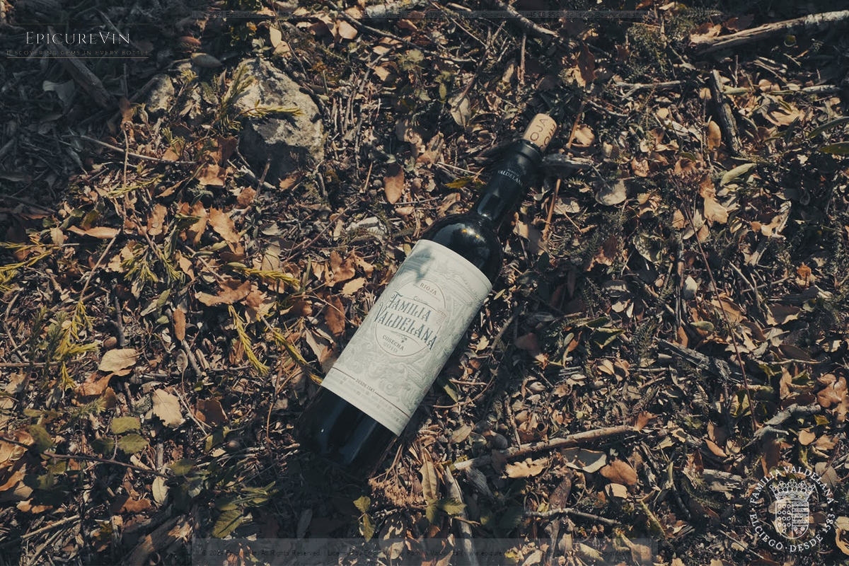 Familia Valdelana Young Red Wine 2023