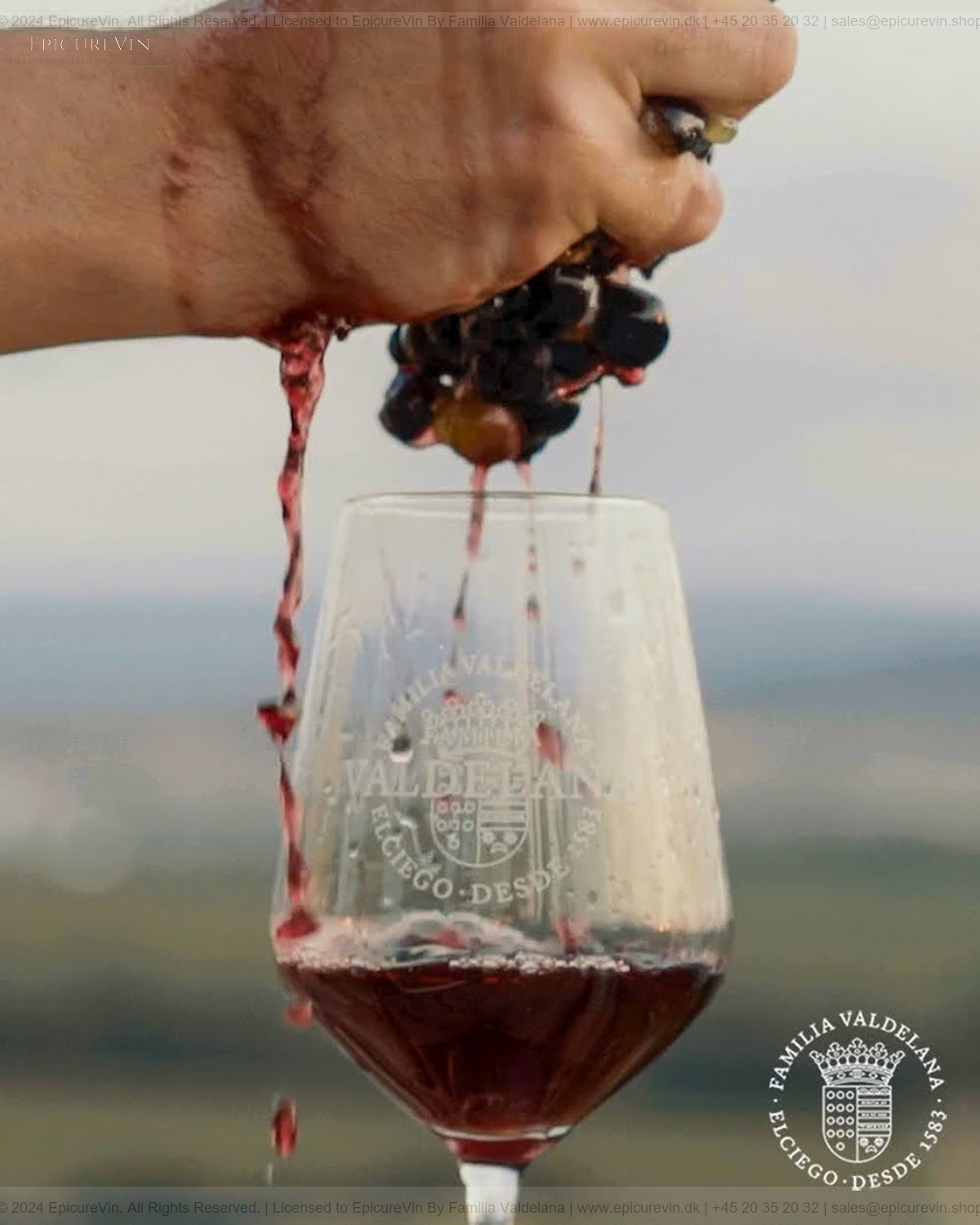 Familia Valdelana Young Red Wine 2023