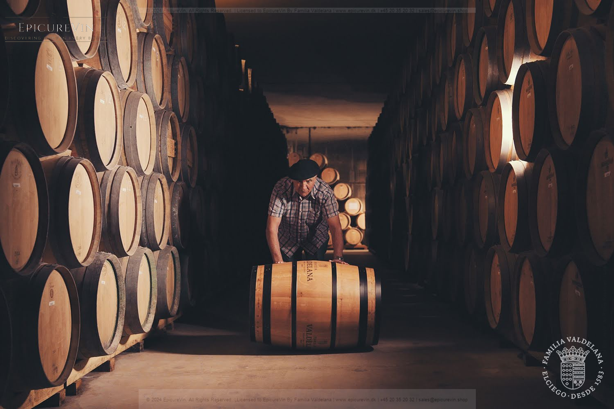 Familia Valdelana Reserva Red Wine 2019