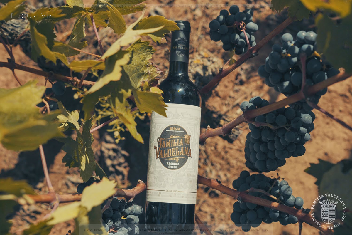 Familia Valdelana Reserva Red Wine 2019