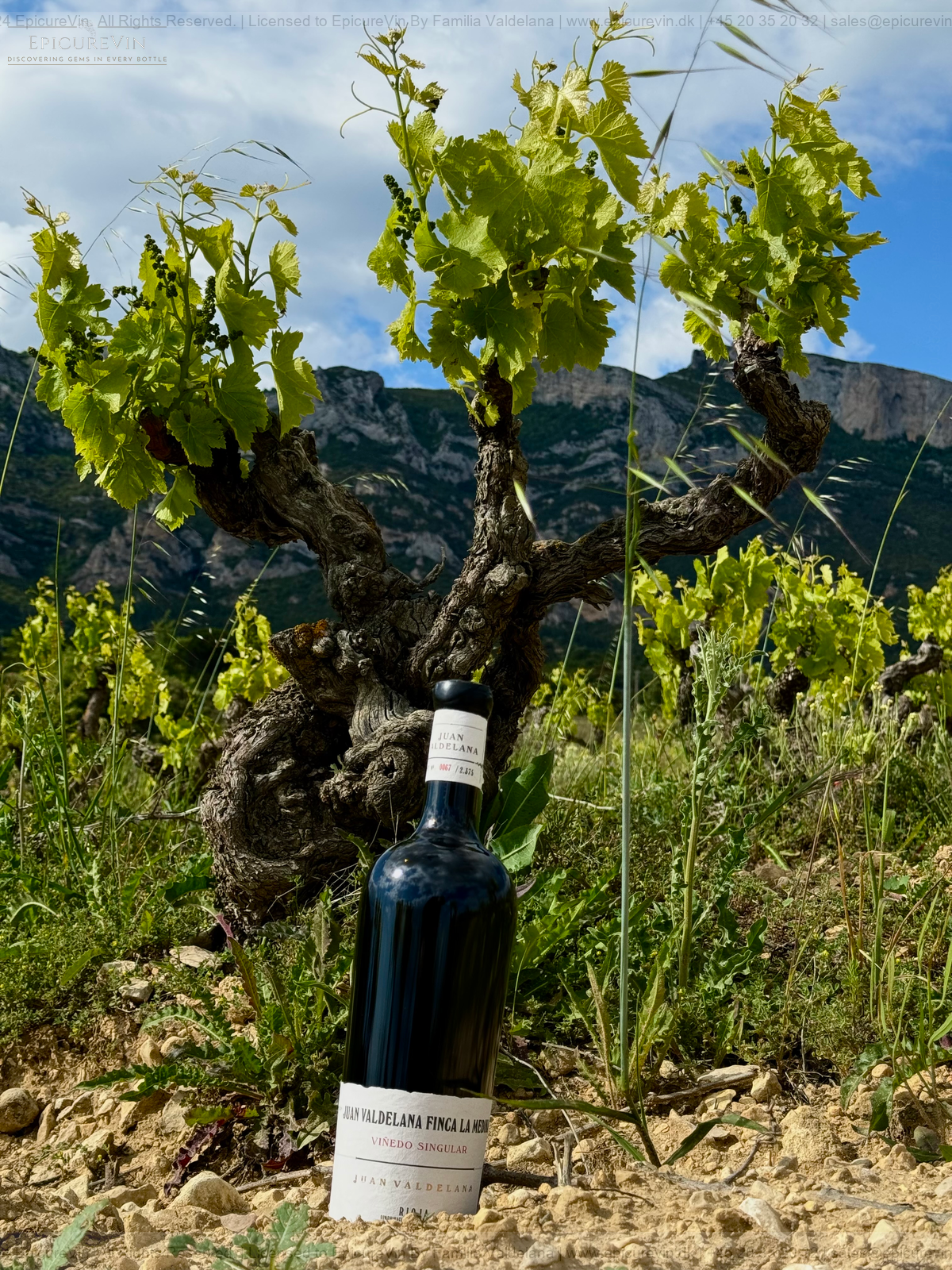 Vinedo Singular Finca La Medika 2021 Rødvin 2021